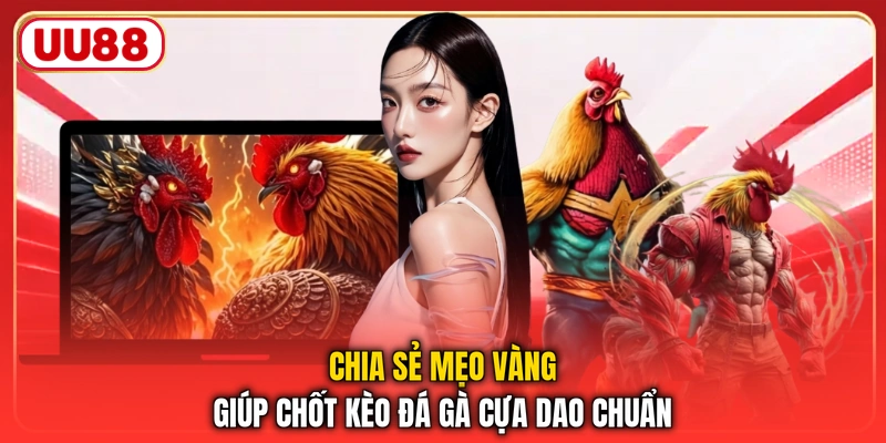 Chia sẻ mẹo vàng giúp chốt kèo đá gà cựa dao chuẩn